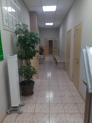 Катя Ивановна
