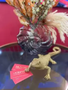 Фотография Monako 5