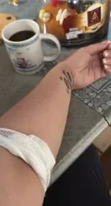 Фотография Гемотест 0