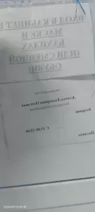 Фотография Недвижимость 5