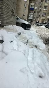 Фотография Пикассо 1