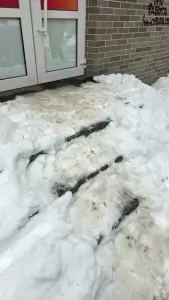 Фотография Пикассо 2