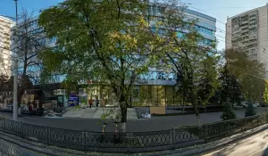 Фотография Пикассо 2