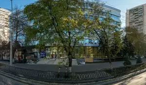 Фотография Пикассо 4