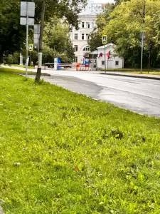 Фотография Гемотест 1