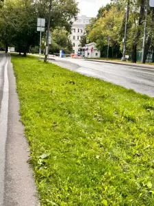 Фотография Гемотест 2