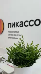 Фотография Пикассо 4
