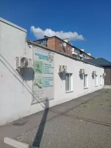 Фотография Хороший доктор 3