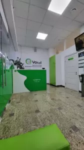 Фотография Voxel 4